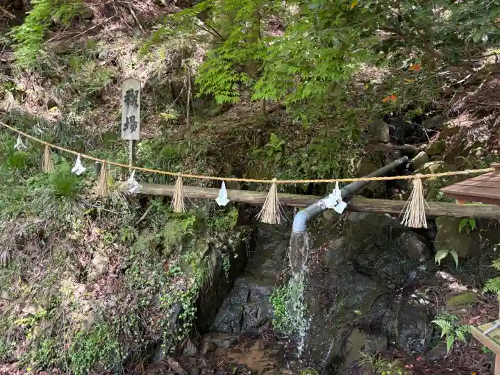 須我神社の{uncategorized: "未分類", other: "その他", undefined: "問題あり", building: "その他建物", grave: "お墓", sacred_gate: "鳥居", guardian: "狛犬", statue: "像", buddha: "仏像", history: "歴史", nature: "自然", garden: "庭園", animal: "動物", pagoda: "塔", temizu: "手水舎", mountain_gate: "山門・神門", sanctuary: "本殿・本堂", subordinate: "末社・摂社", art: "芸術", scenery: "景色", jizo: "地蔵", ema: "絵馬", goshuin: "御朱印", omikuji: "おみくじ", items: "授与品その他", amulet: "お守り", goshuincho: "御朱印帳", eats: "食事", festival: "お祭り", votive_dance: "神楽", shichigosan: "七五三参", wedding: "結婚式", experience: "体験その他", initially: "初詣", around: "周辺", anti_infection: "感染症対策"}