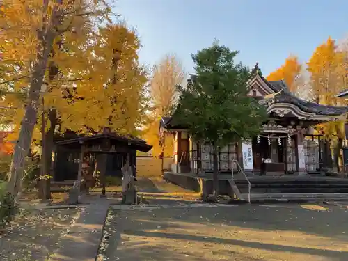 金山神社(若宮八幡宮境内社)の本殿・本堂