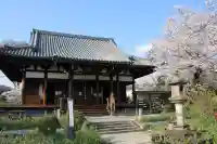 般若寺 ❁コスモス寺❁(奈良県)