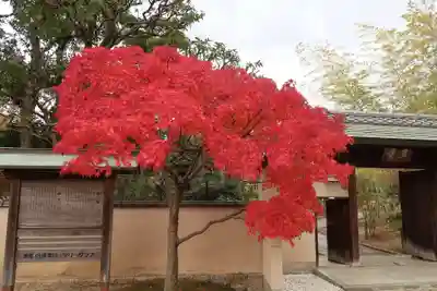専稱寺(大阪府)