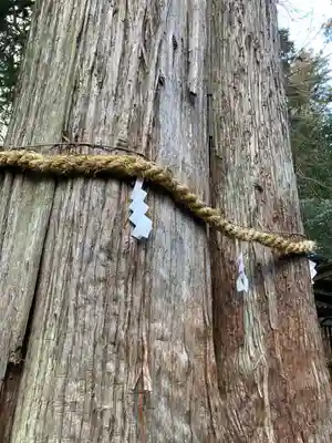 伊和神社(兵庫県)