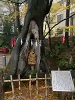 秩父今宮神社(埼玉県)