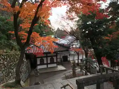 知恩院の本殿・本堂