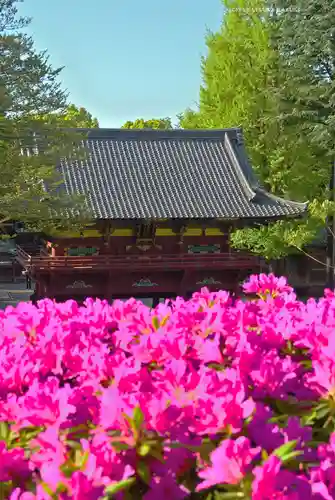 根津神社(東京都)