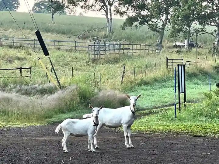 禰固岳神社(長野県)