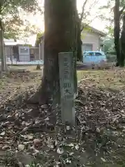 神明社（小折神明社）の自然