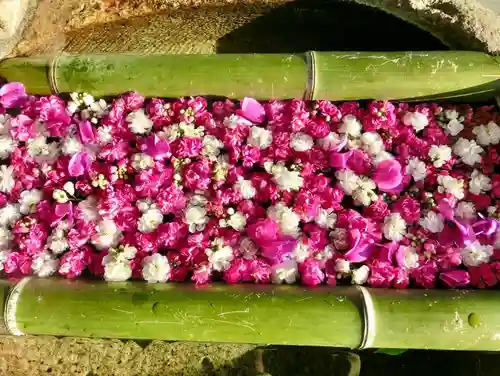 立志神社の手水舎