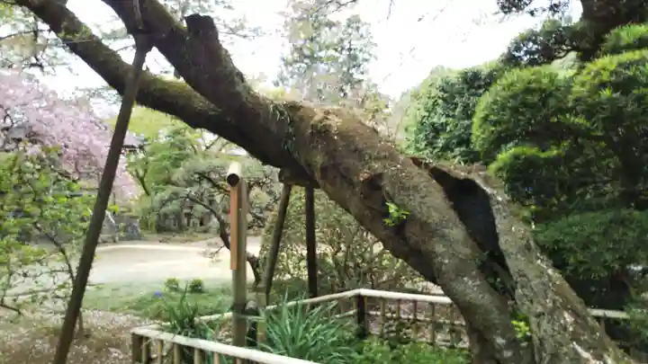 金乘院(千葉県)