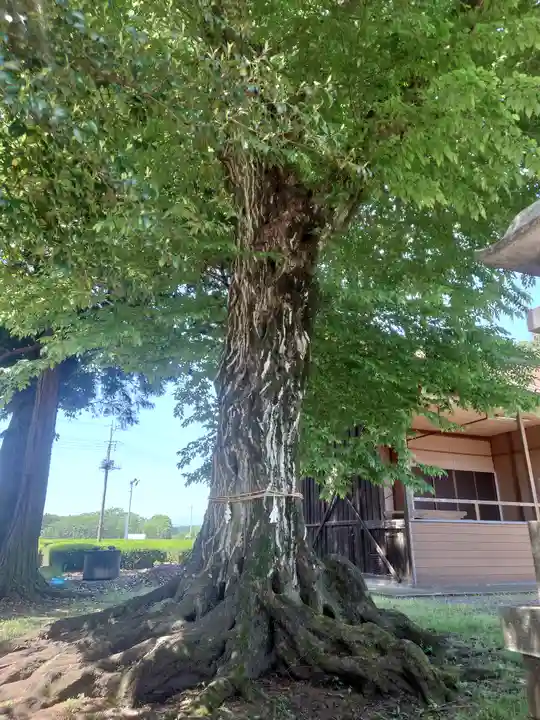 二本木神社(埼玉県)