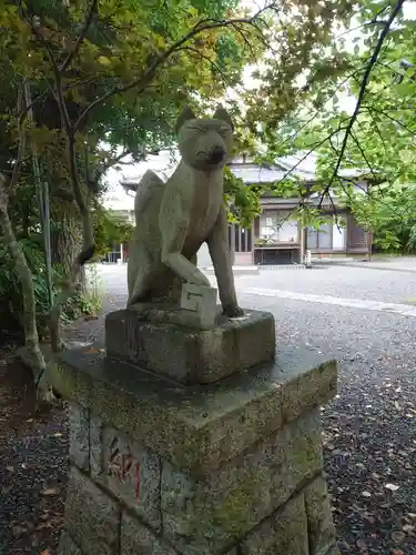 三軒地稲荷神社の狛犬