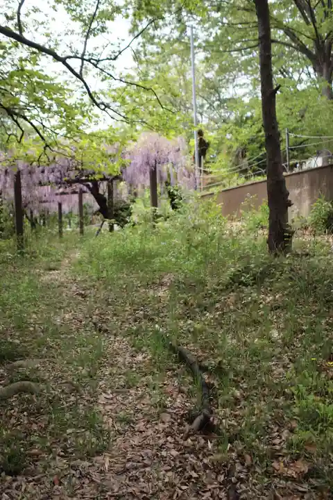 高山神社の自然