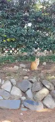 恵林寺(山梨県)