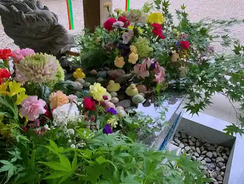 滑川神社 - 仕事と子どもの守り神の手水舎