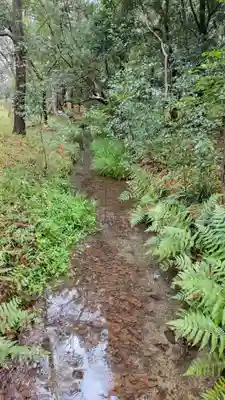 賀茂御祖神社（下鴨神社）(京都府)