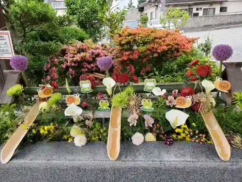 豊景神社の手水