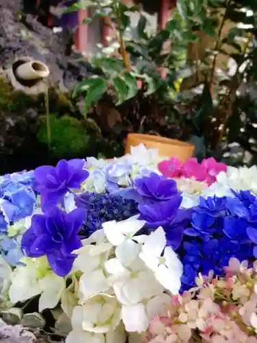 本郷氷川神社(東京都)