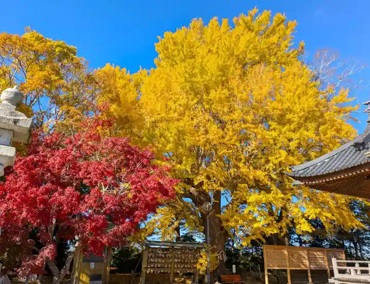 白子神社(千葉県)
