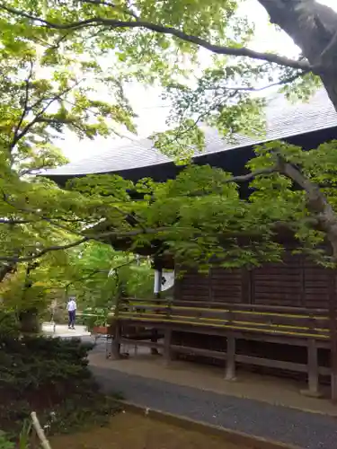 多聞院(埼玉県)