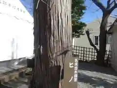 金山神社(神奈川県)