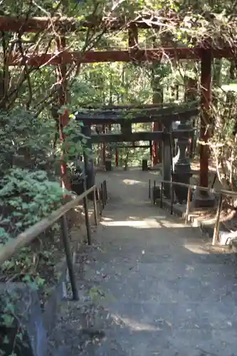 朝日稲荷神社の鳥居