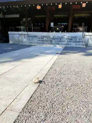 乃木神社の本殿・本堂