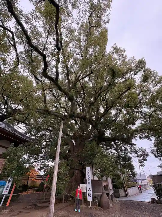 無量寺の{uncategorized: "未分類", other: "その他", undefined: "問題あり", building: "その他建物", grave: "お墓", sacred_gate: "鳥居", guardian: "狛犬", statue: "像", buddha: "仏像", history: "歴史", nature: "自然", garden: "庭園", animal: "動物", pagoda: "塔", temizu: "手水舎", mountain_gate: "山門・神門", sanctuary: "本殿・本堂", subordinate: "末社・摂社", art: "芸術", scenery: "景色", jizo: "地蔵", ema: "絵馬", goshuin: "御朱印", omikuji: "おみくじ", items: "授与品その他", amulet: "お守り", goshuincho: "御朱印帳", eats: "食事", festival: "お祭り", votive_dance: "神楽", shichigosan: "七五三参", wedding: "結婚式", experience: "体験その他", initially: "初詣", around: "周辺", anti_infection: "感染症対策"}