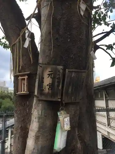 太田姫稲荷神社跡（一口神社）の自然
