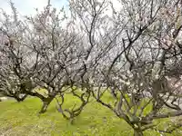 八宮赤山神社(滋賀県)