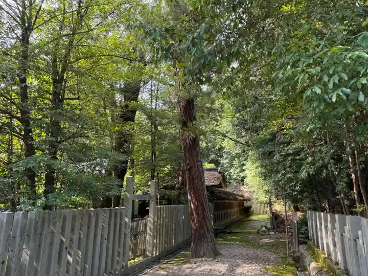 大縣神社(愛知県)