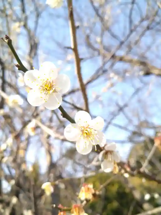 朝倉神社の周辺