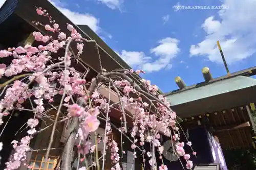 東京大神宮(東京都)