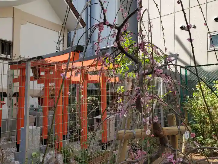 小野八幡神社の自然