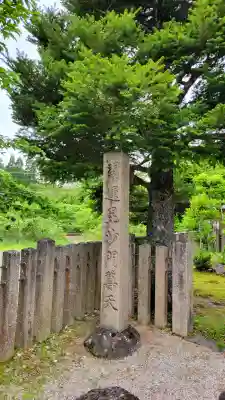 徳林院の{uncategorized: "未分類", other: "その他", undefined: "問題あり", building: "その他建物", grave: "お墓", sacred_gate: "鳥居", guardian: "狛犬", statue: "像", buddha: "仏像", history: "歴史", nature: "自然", garden: "庭園", animal: "動物", pagoda: "塔", temizu: "手水舎", mountain_gate: "山門・神門", sanctuary: "本殿・本堂", subordinate: "末社・摂社", art: "芸術", scenery: "景色", jizo: "地蔵", ema: "絵馬", goshuin: "御朱印", omikuji: "おみくじ", items: "授与品その他", amulet: "お守り", goshuincho: "御朱印帳", eats: "食事", festival: "お祭り", votive_dance: "神楽", shichigosan: "七五三参", wedding: "結婚式", experience: "体験その他", initially: "初詣", around: "周辺", anti_infection: "感染症対策"}