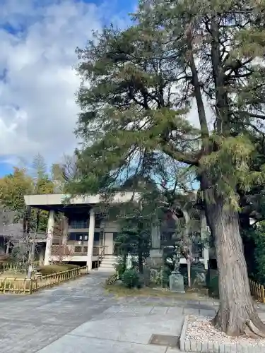 安養寺(東京都)
