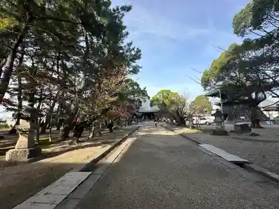 大樹寺(松安院大樹寺)(愛知県)