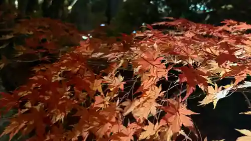 円通院(宮城県)