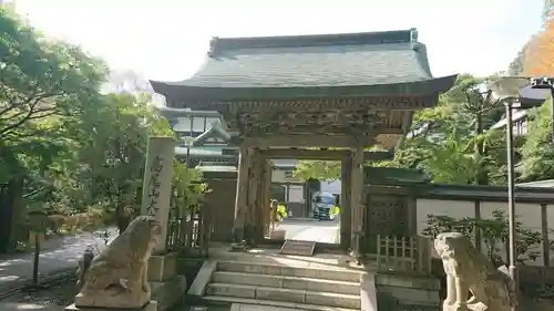 高尾山薬王院の山門・神門