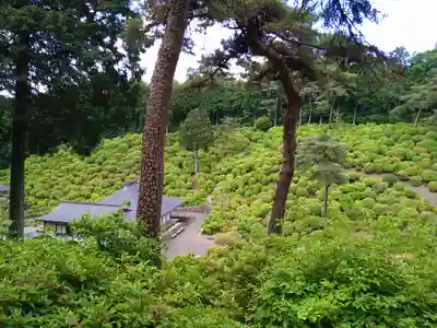 塩船観音寺(東京都)
