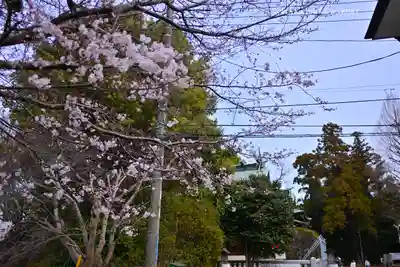 杉山社(神奈川県)