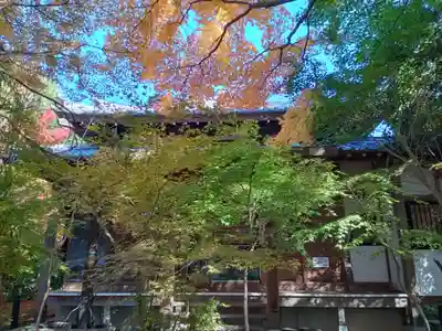 龍尾寺(大阪府)