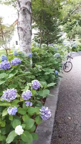 西野神社の自然