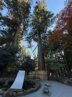 水澤寺(水澤観世音)(群馬県)