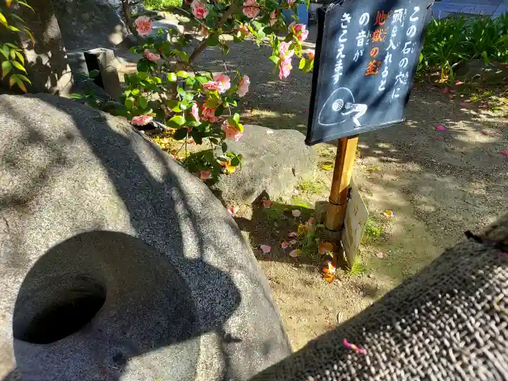 全興寺の{uncategorized: "未分類", other: "その他", undefined: "問題あり", building: "その他建物", grave: "お墓", sacred_gate: "鳥居", guardian: "狛犬", statue: "像", buddha: "仏像", history: "歴史", nature: "自然", garden: "庭園", animal: "動物", pagoda: "塔", temizu: "手水舎", mountain_gate: "山門・神門", sanctuary: "本殿・本堂", subordinate: "末社・摂社", art: "芸術", scenery: "景色", jizo: "地蔵", ema: "絵馬", goshuin: "御朱印", omikuji: "おみくじ", items: "授与品その他", amulet: "お守り", goshuincho: "御朱印帳", eats: "食事", festival: "お祭り", votive_dance: "神楽", shichigosan: "七五三参", wedding: "結婚式", experience: "体験その他", initially: "初詣", around: "周辺", anti_infection: "感染症対策"}