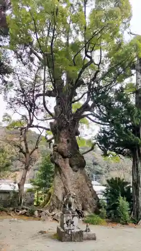 川津来宮神社(静岡県)