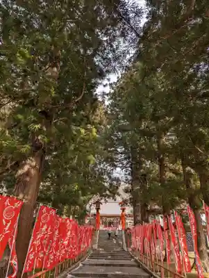 遠野郷八幡宮(岩手県)