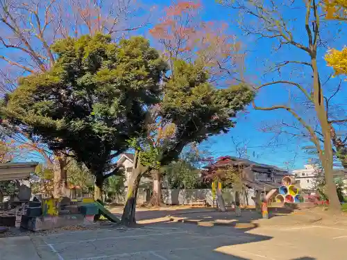 高城神社の自然
