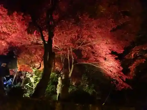 大山寺(神奈川県)