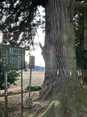薄葉温泉神社(栃木県)
