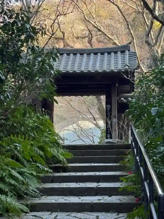 瑞泉寺の{uncategorized: "未分類", other: "その他", undefined: "問題あり", building: "その他建物", grave: "お墓", sacred_gate: "鳥居", guardian: "狛犬", statue: "像", buddha: "仏像", history: "歴史", nature: "自然", garden: "庭園", animal: "動物", pagoda: "塔", temizu: "手水舎", mountain_gate: "山門・神門", sanctuary: "本殿・本堂", subordinate: "末社・摂社", art: "芸術", scenery: "景色", jizo: "地蔵", ema: "絵馬", goshuin: "御朱印", omikuji: "おみくじ", items: "授与品その他", amulet: "お守り", goshuincho: "御朱印帳", eats: "食事", festival: "お祭り", votive_dance: "神楽", shichigosan: "七五三参", wedding: "結婚式", experience: "体験その他", initially: "初詣", around: "周辺", anti_infection: "感染症対策"}