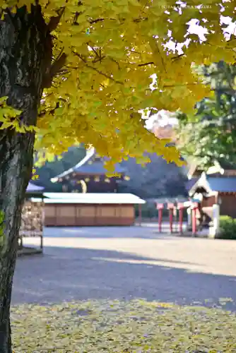 鷲宮神社の景色